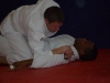 positiesparren-2