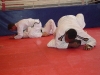 positiesparren-4