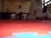 positiesparren-5